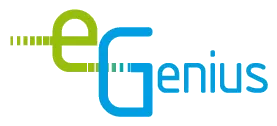 E Genius Logo Kopie
